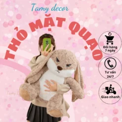 Gấu bông thỏ mặt quạo tai dài thỏ tức giận Tamy Decor » TamyDecor - Chăn ga gối đệm 21 » TamyDecor - Chăn ga gối đệm